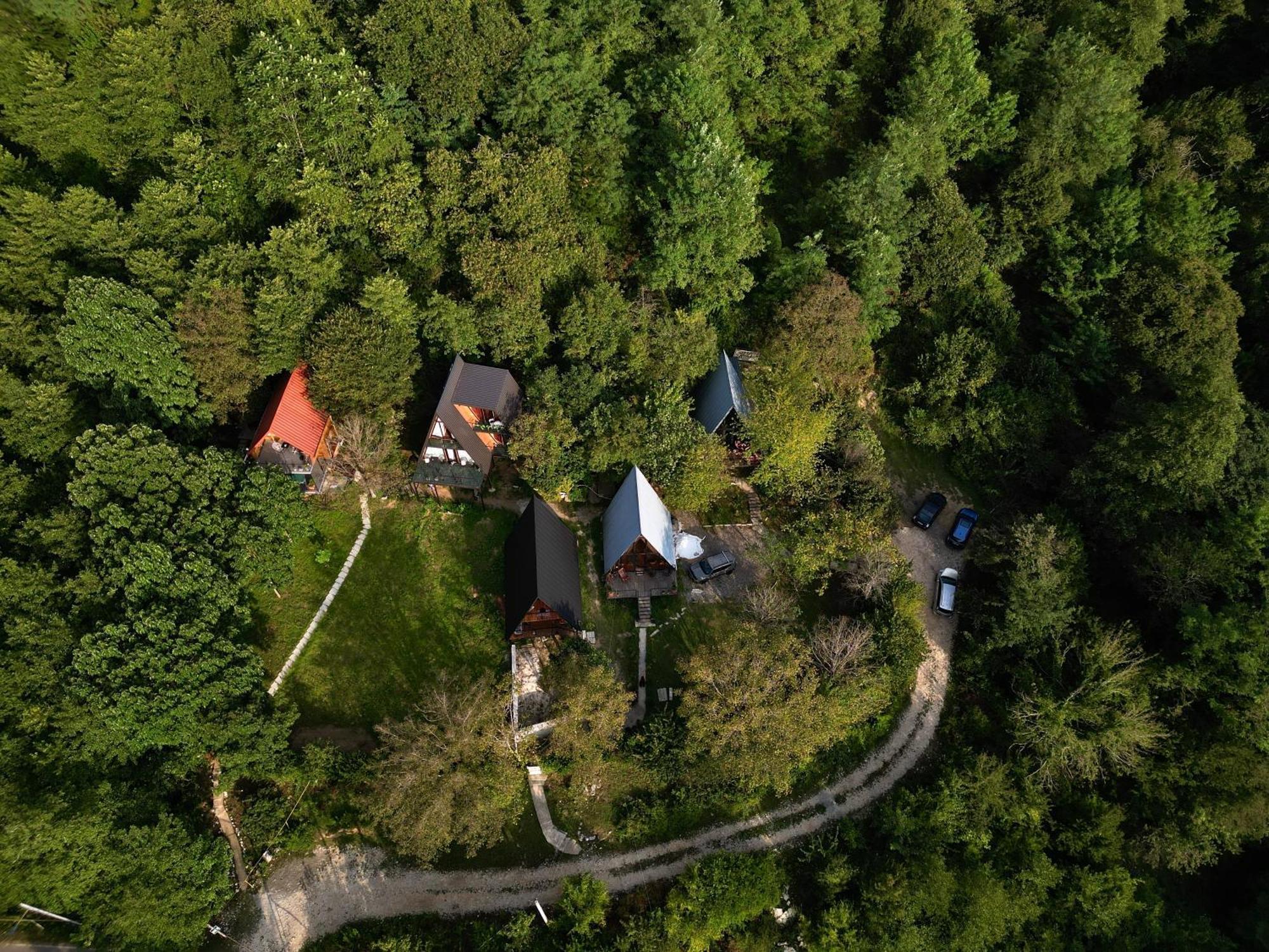 Cottage Sataplia كوتايسي المظهر الخارجي الصورة